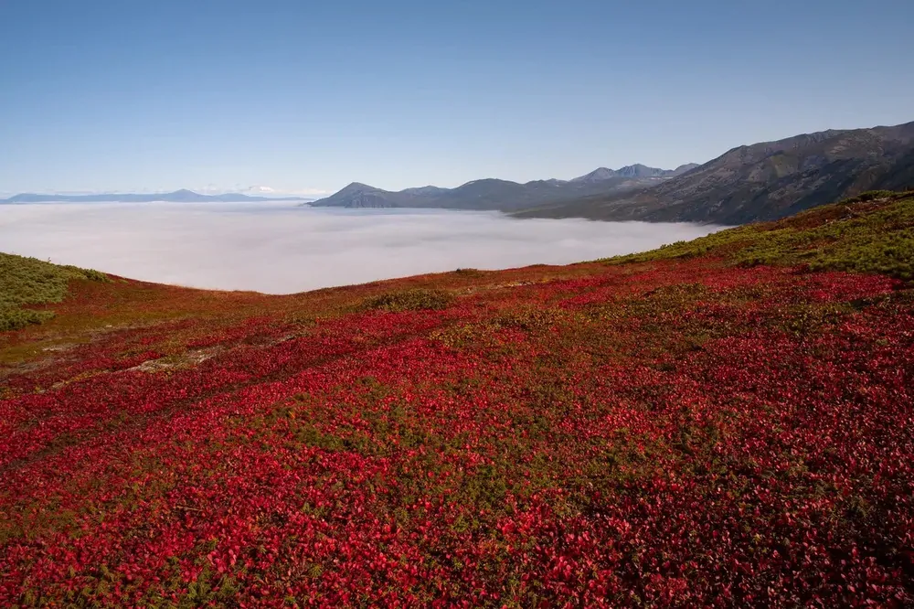 полуостров Кони