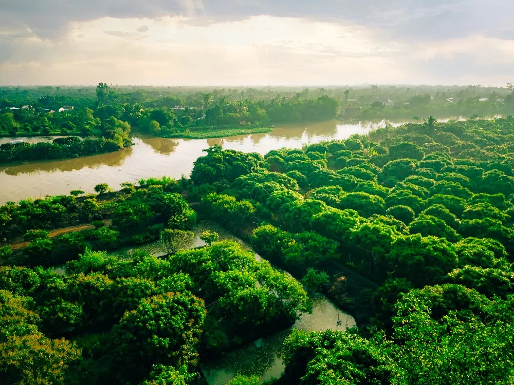 река Тонлесап