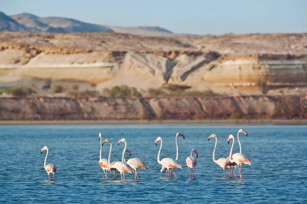 о. Сир-Бани-Яс