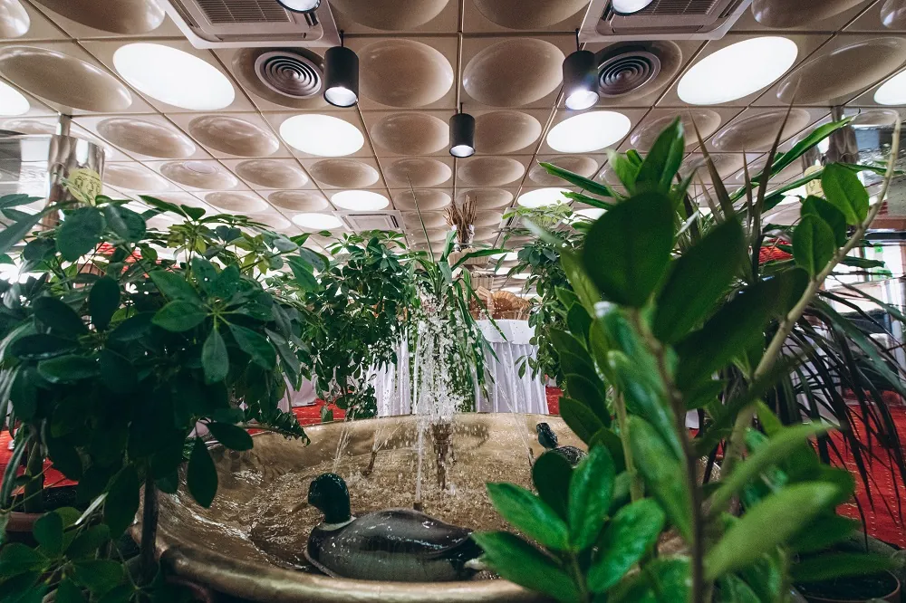 Демьян Бедный