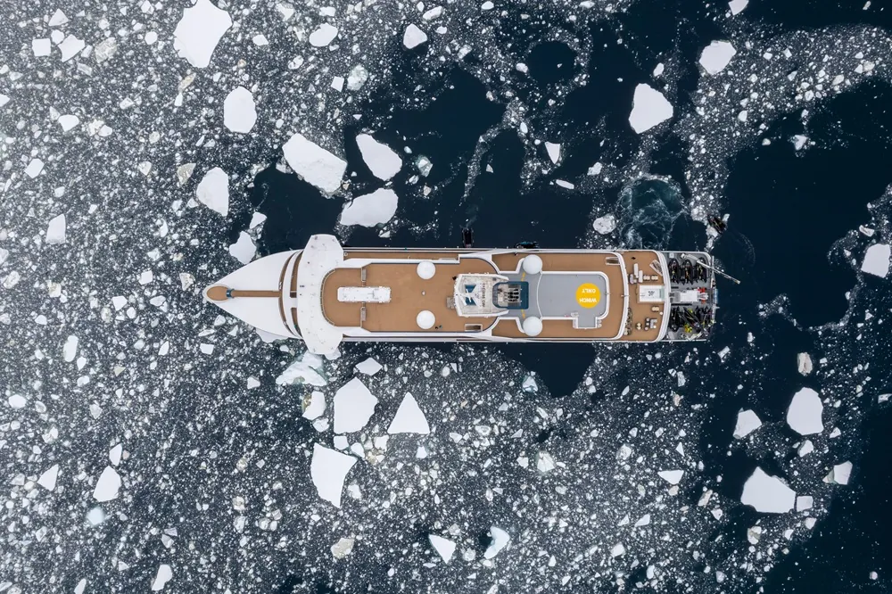 SH Minerva. Wild Life (Русскоязычная группа)