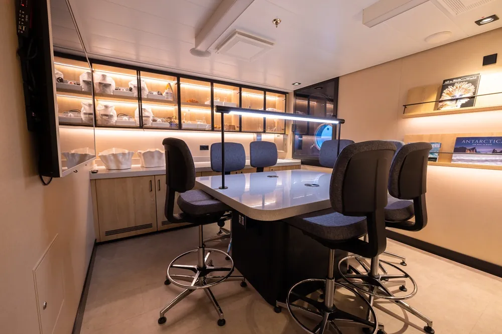 SH Minerva. Wild Life (Русскоязычная группа)