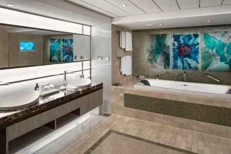 Сьют Penthouse Suite (PS)